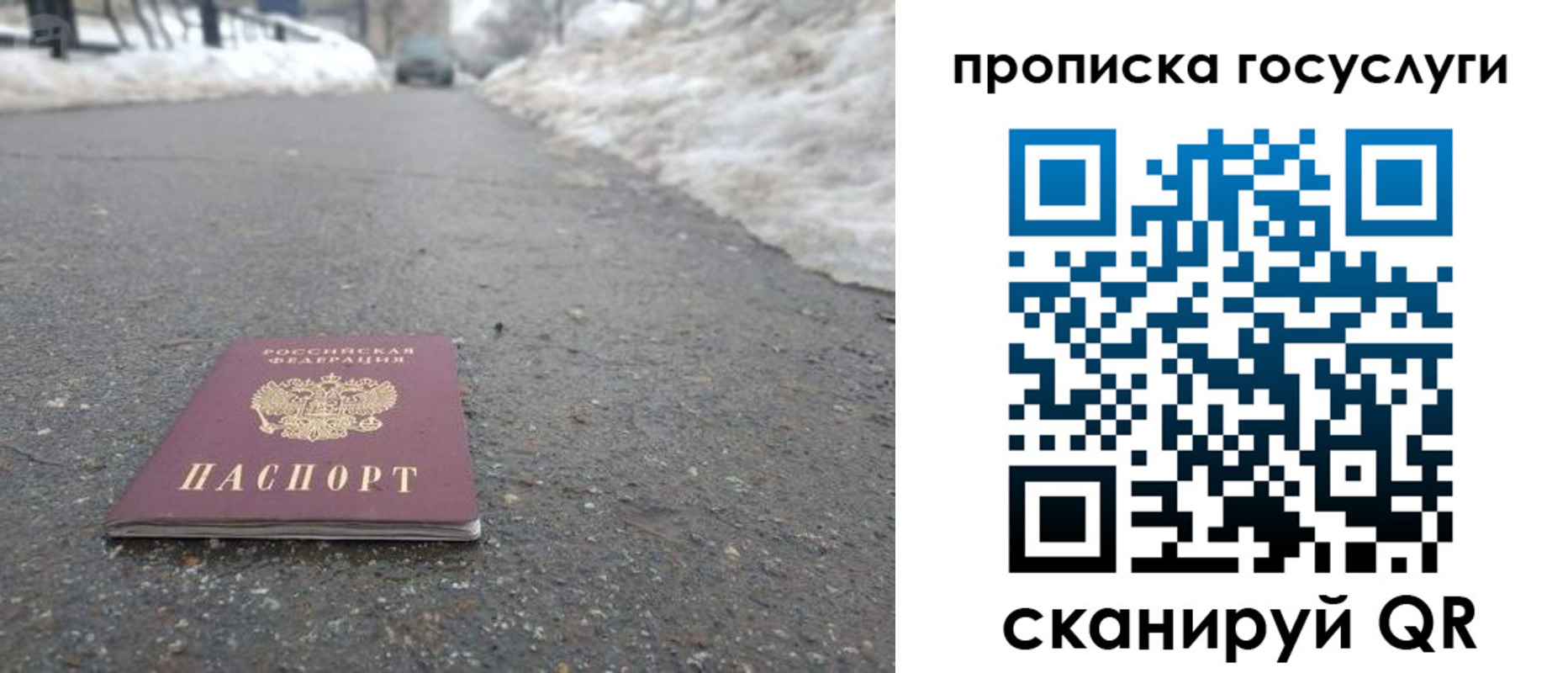 прописка поиск в Набережных Челнах